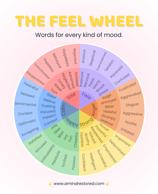 The Feel Wheel – Emotion Identification